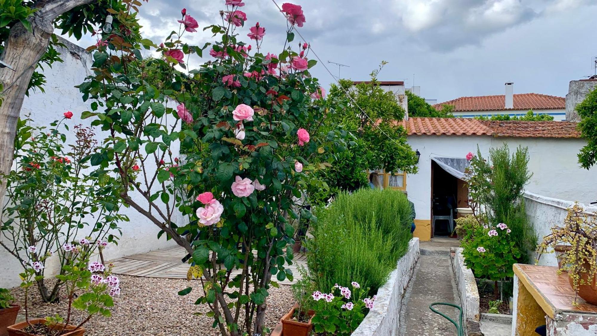 Casa Da Tia Julia Villa Aviz Bagian luar foto